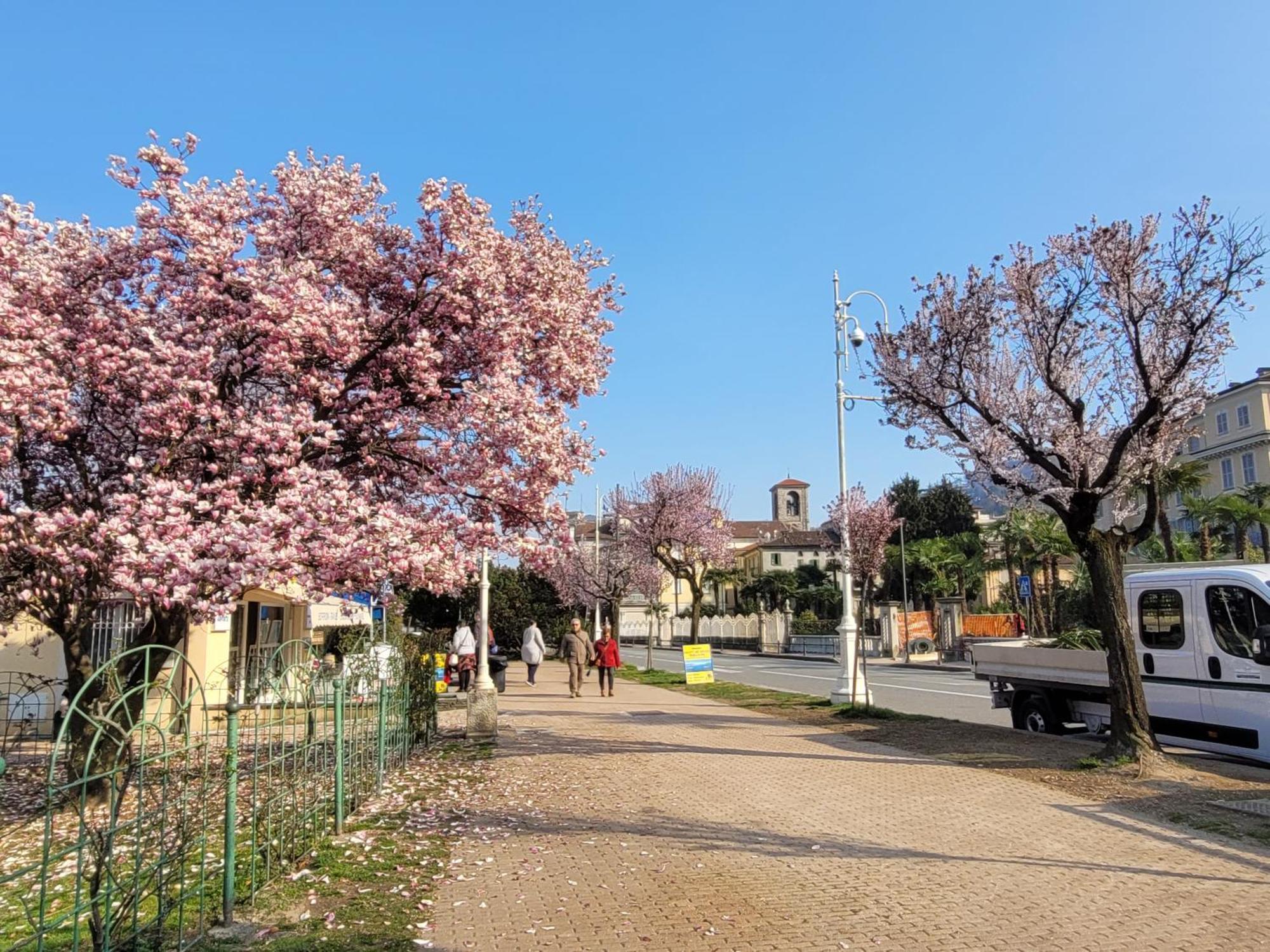 Al Dolce Vita Stresa Exterior foto